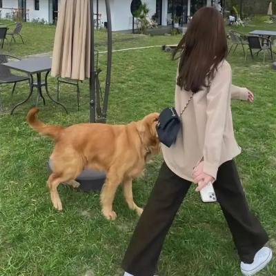 那些日子以来